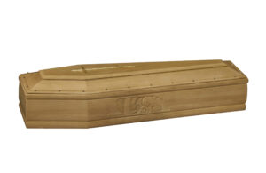 ZH 057 CLEOFE NOCE ASIATICO